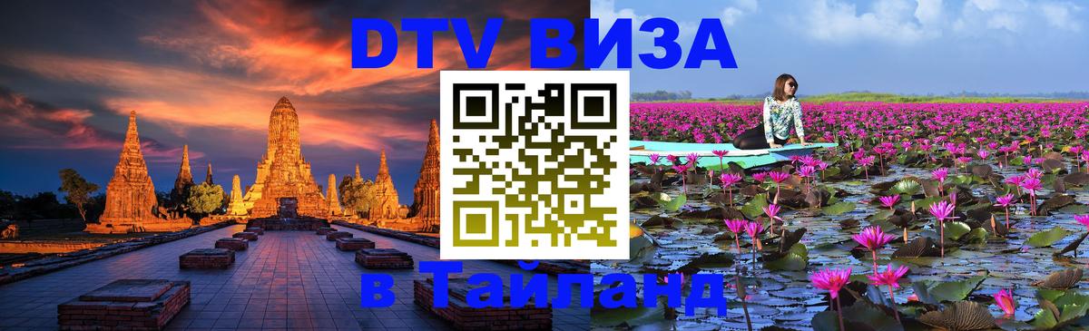 Оформление DTV визы под ключ: стоимость и тарифы, только загранпаспорт - 18.11.2025 